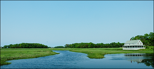 Essex Salt Marsh